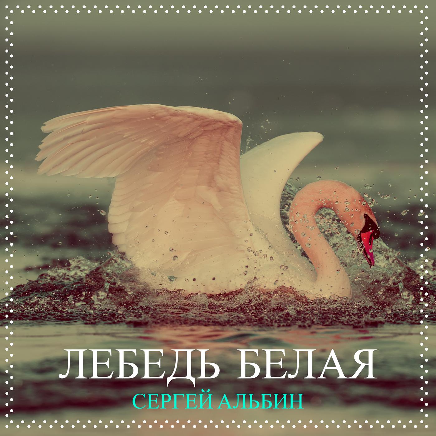 Постер альбома Лебедь белая