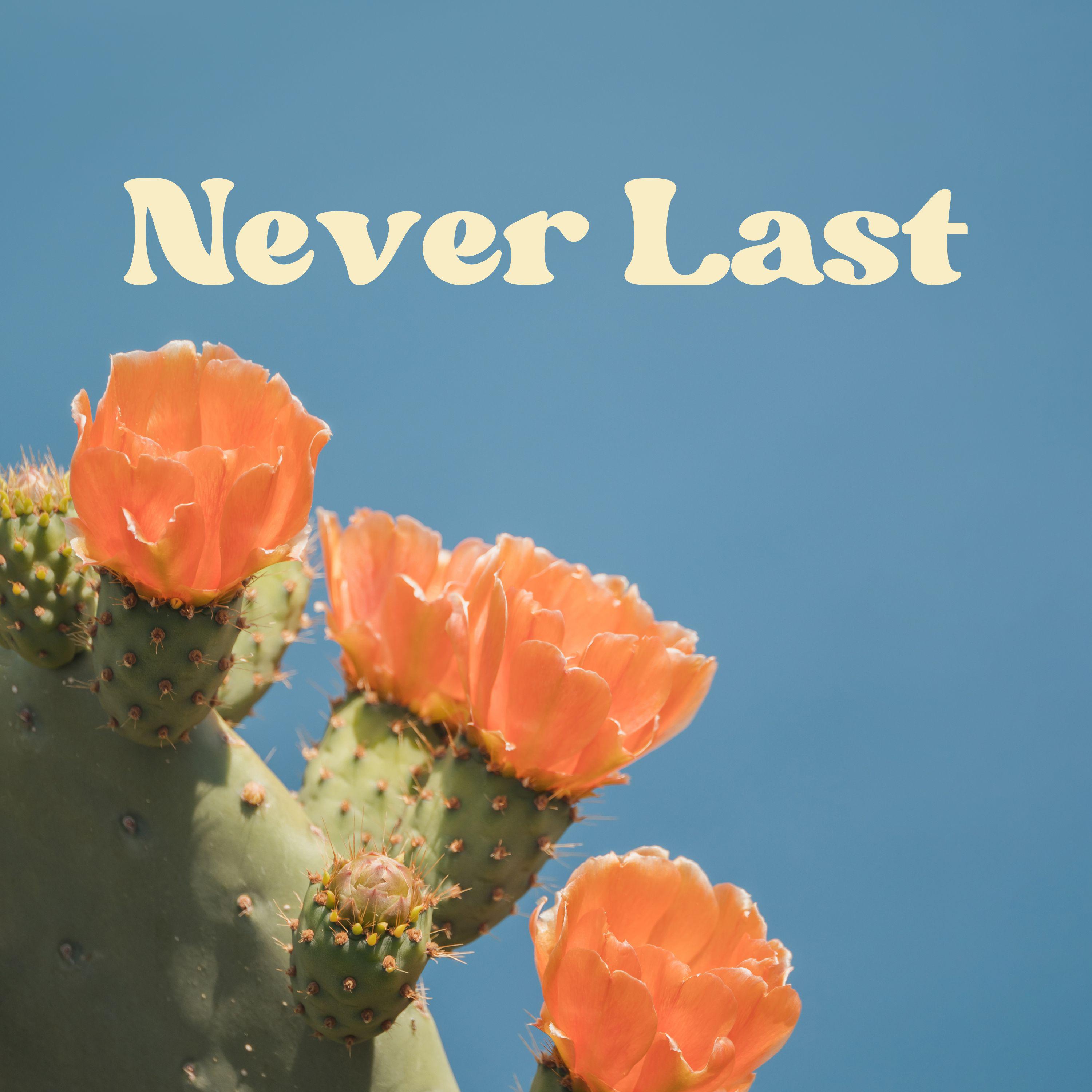 Постер альбома Never Last