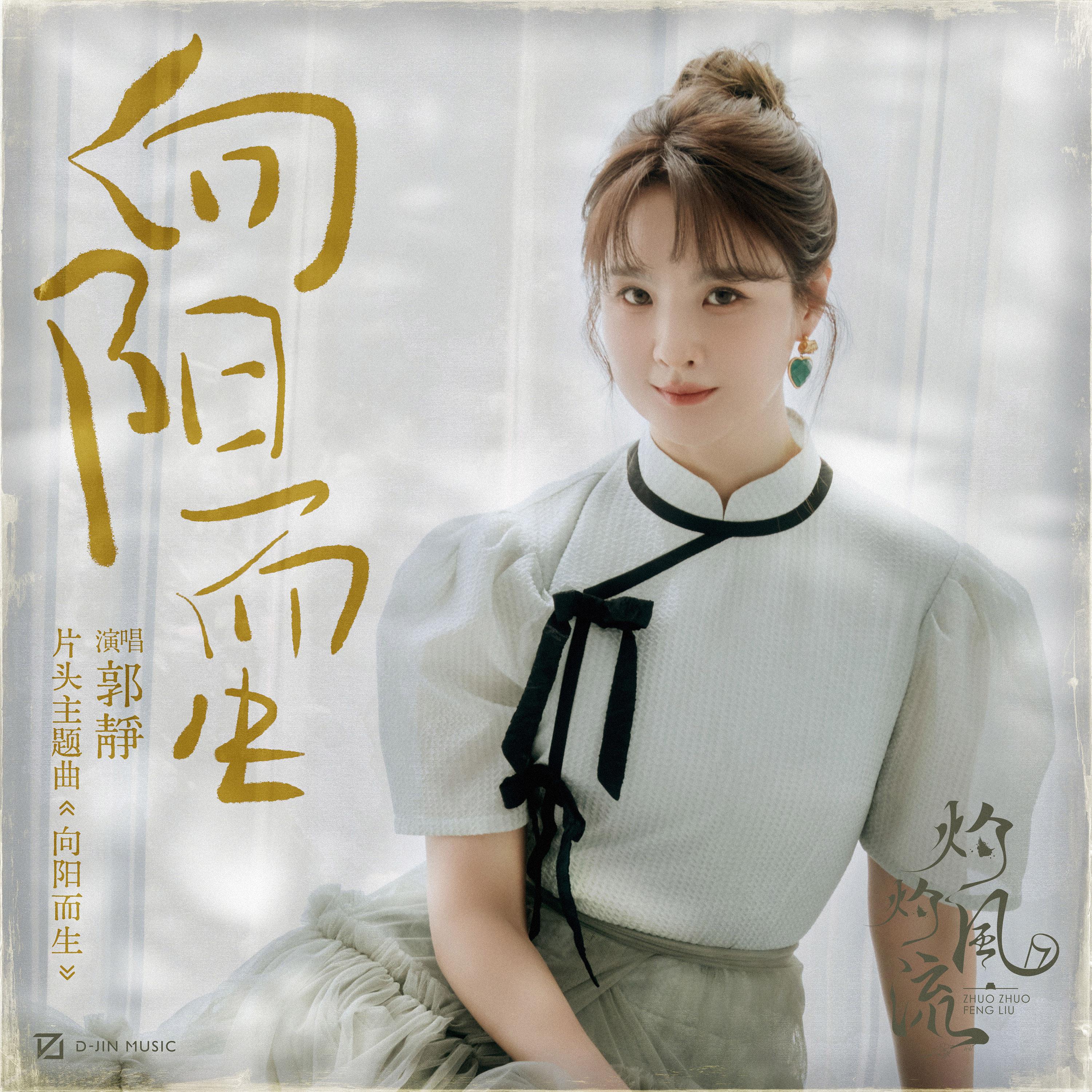 Постер альбома 向阳而生