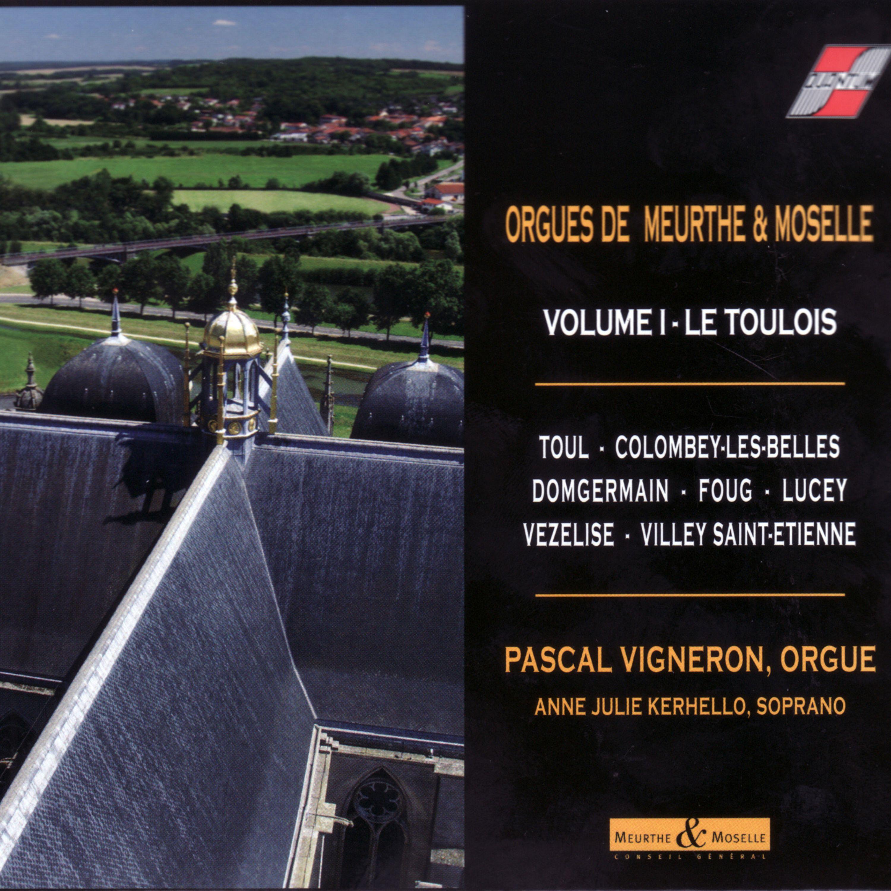 Постер альбома Les orgues de Moselle vol.1 - Le Toulois