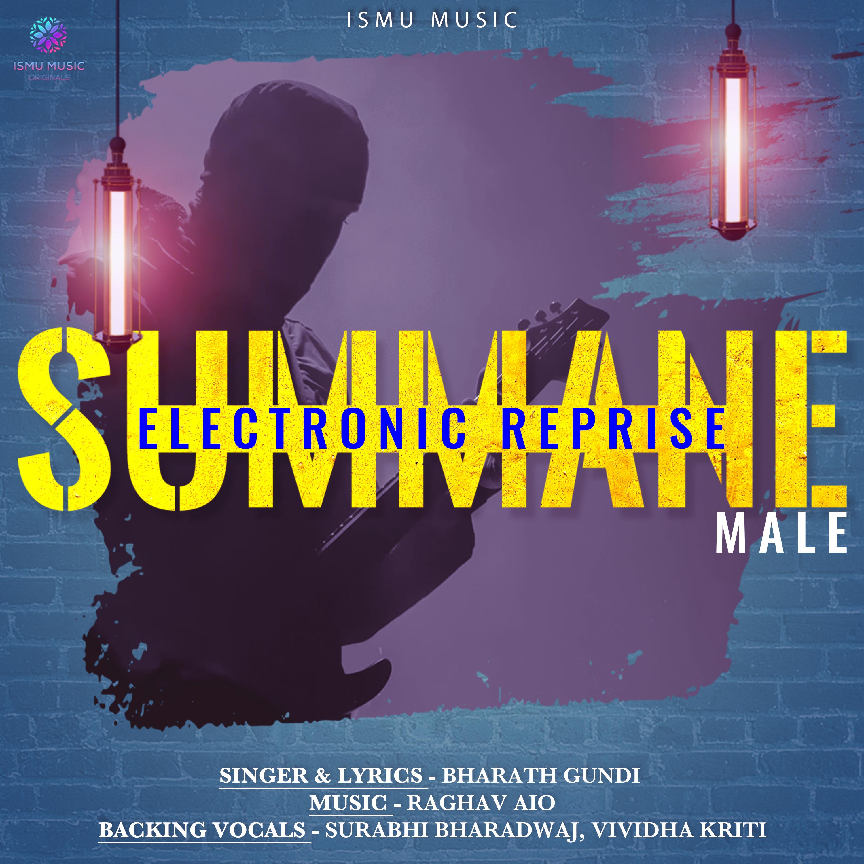 Постер альбома Summane Electronic Reprise