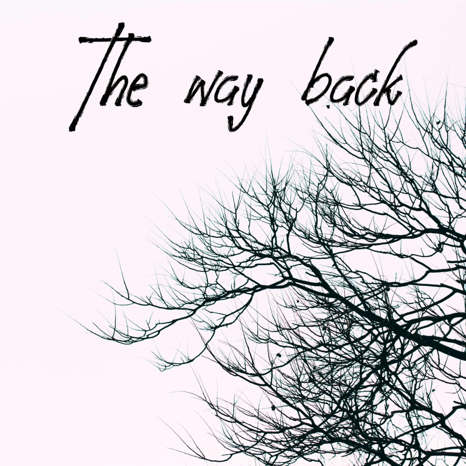 Постер альбома The way back