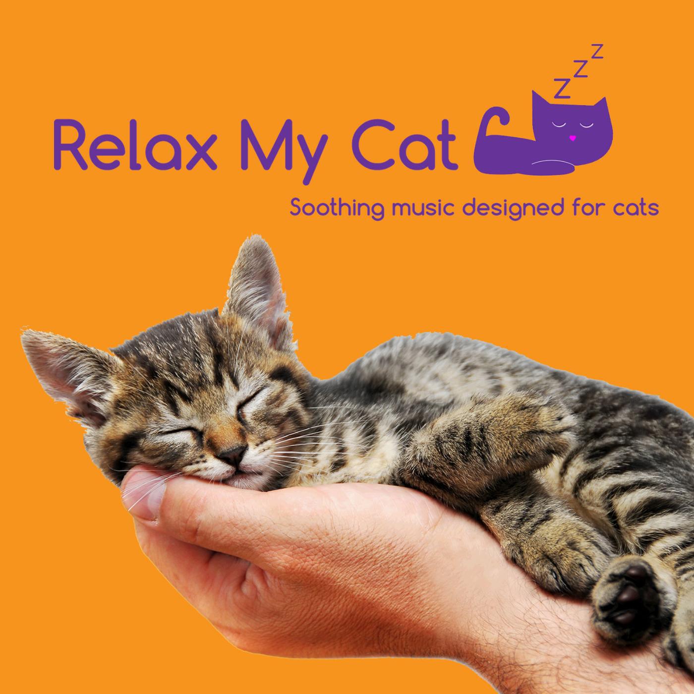 RelaxMyCat - Cosy Evenings
