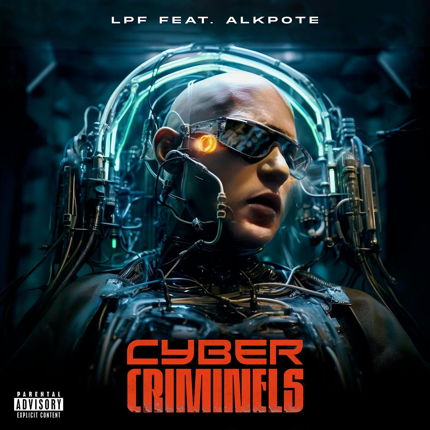 Постер альбома Cyber Criminels
