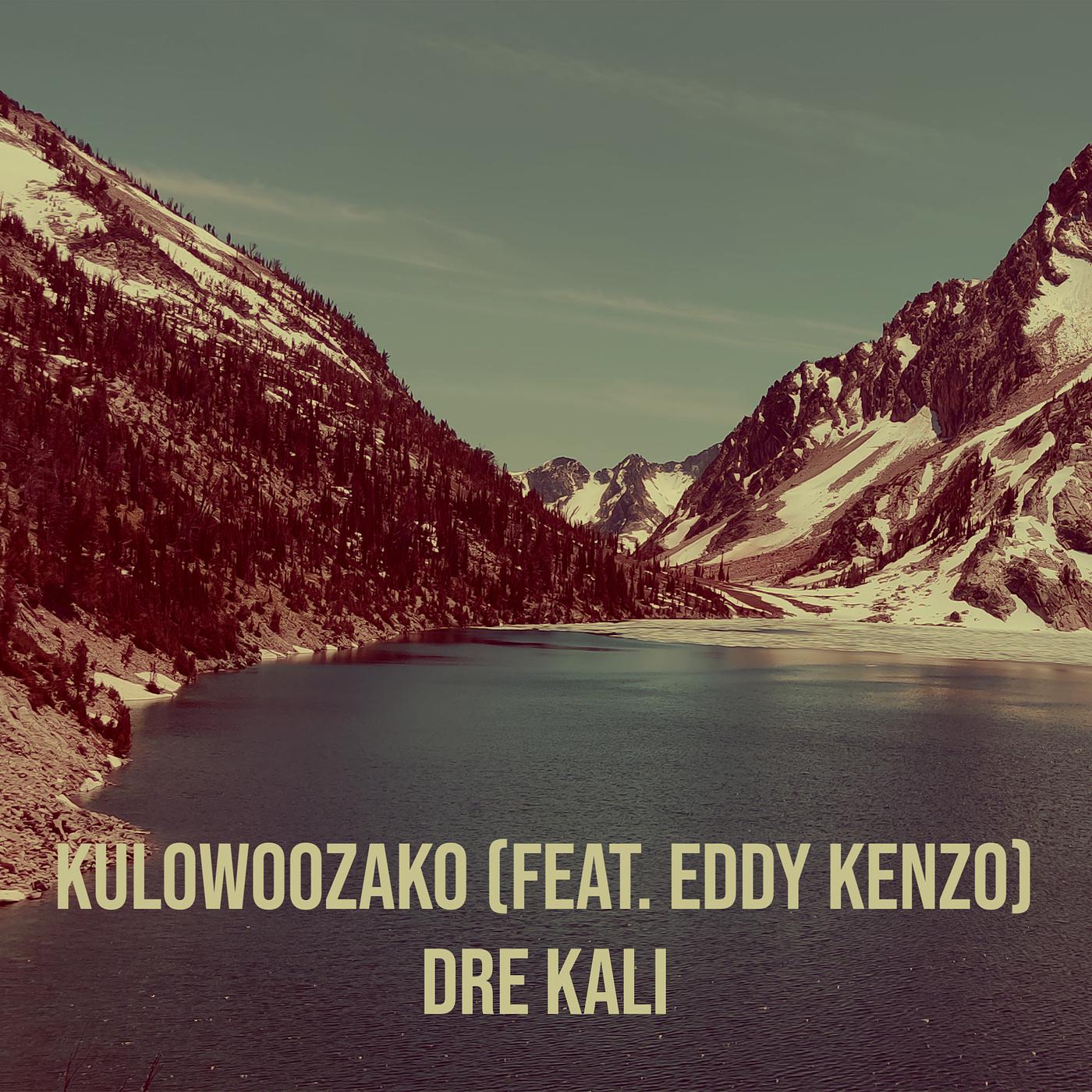 Постер альбома Kulowoozako