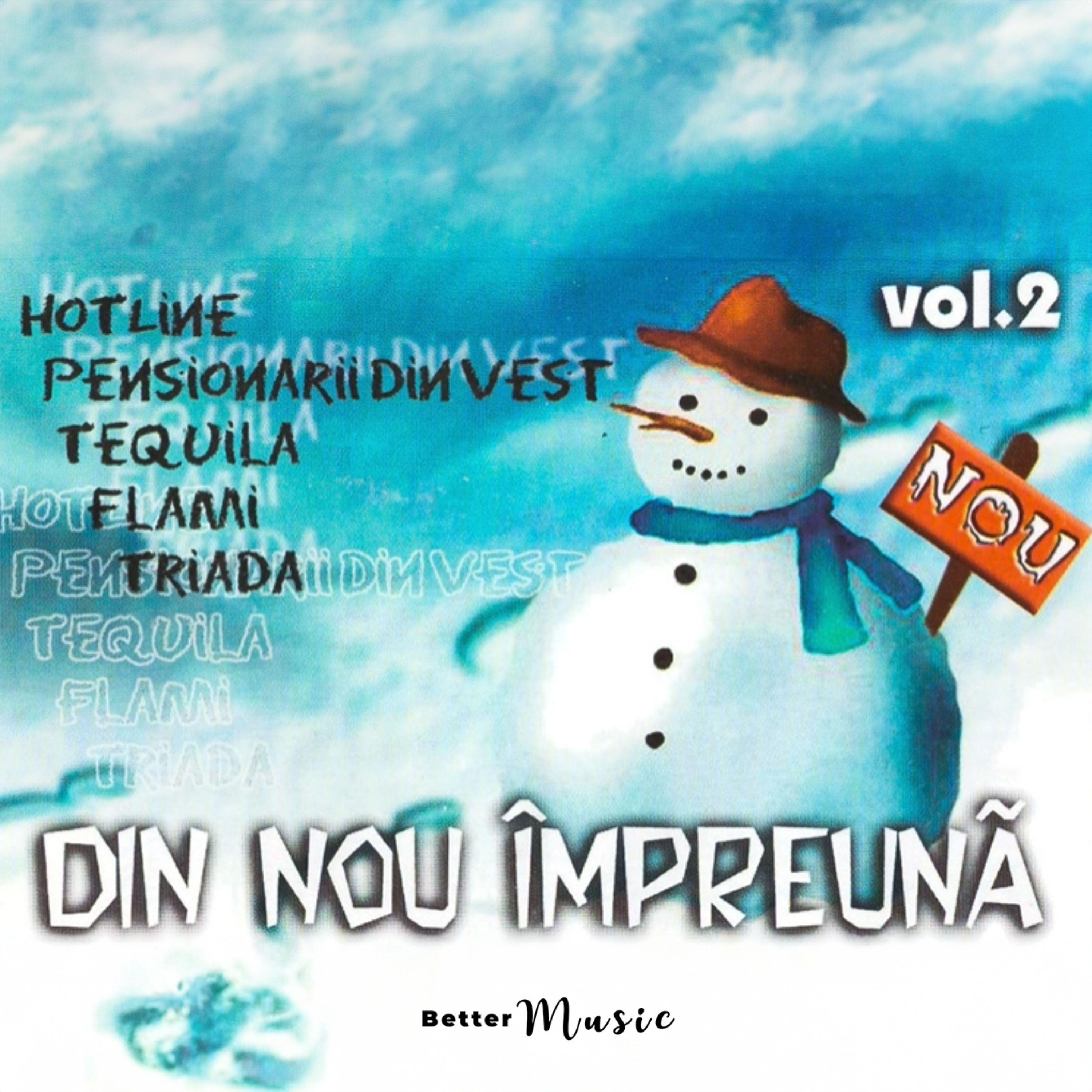 Постер альбома Din nou impreuna, Vol. 2