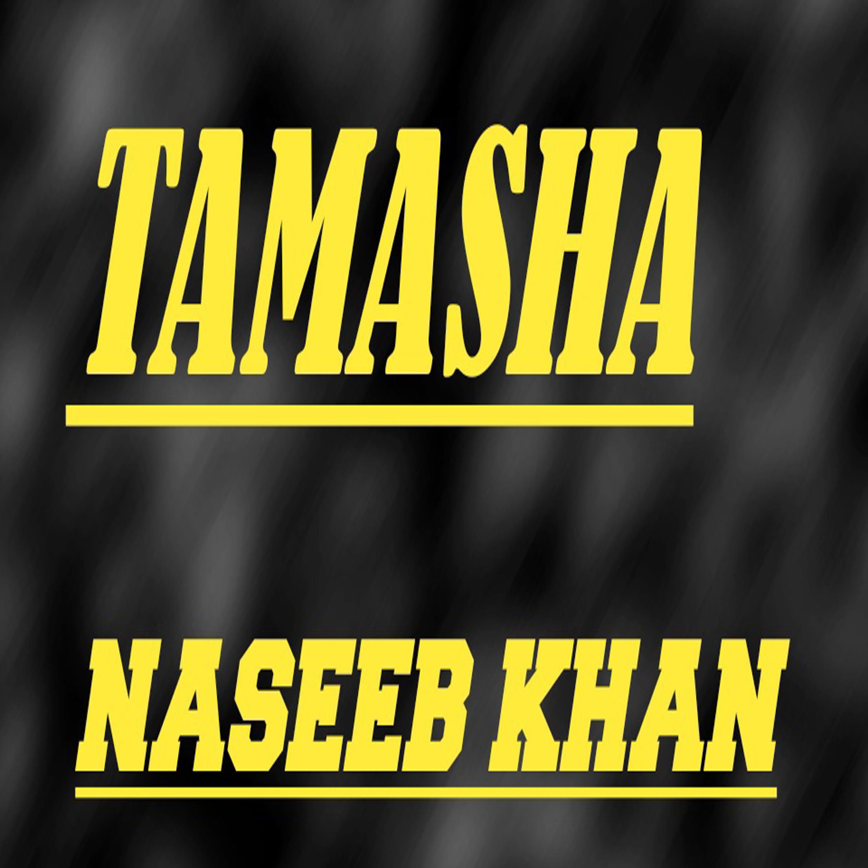 Постер альбома Tamasha