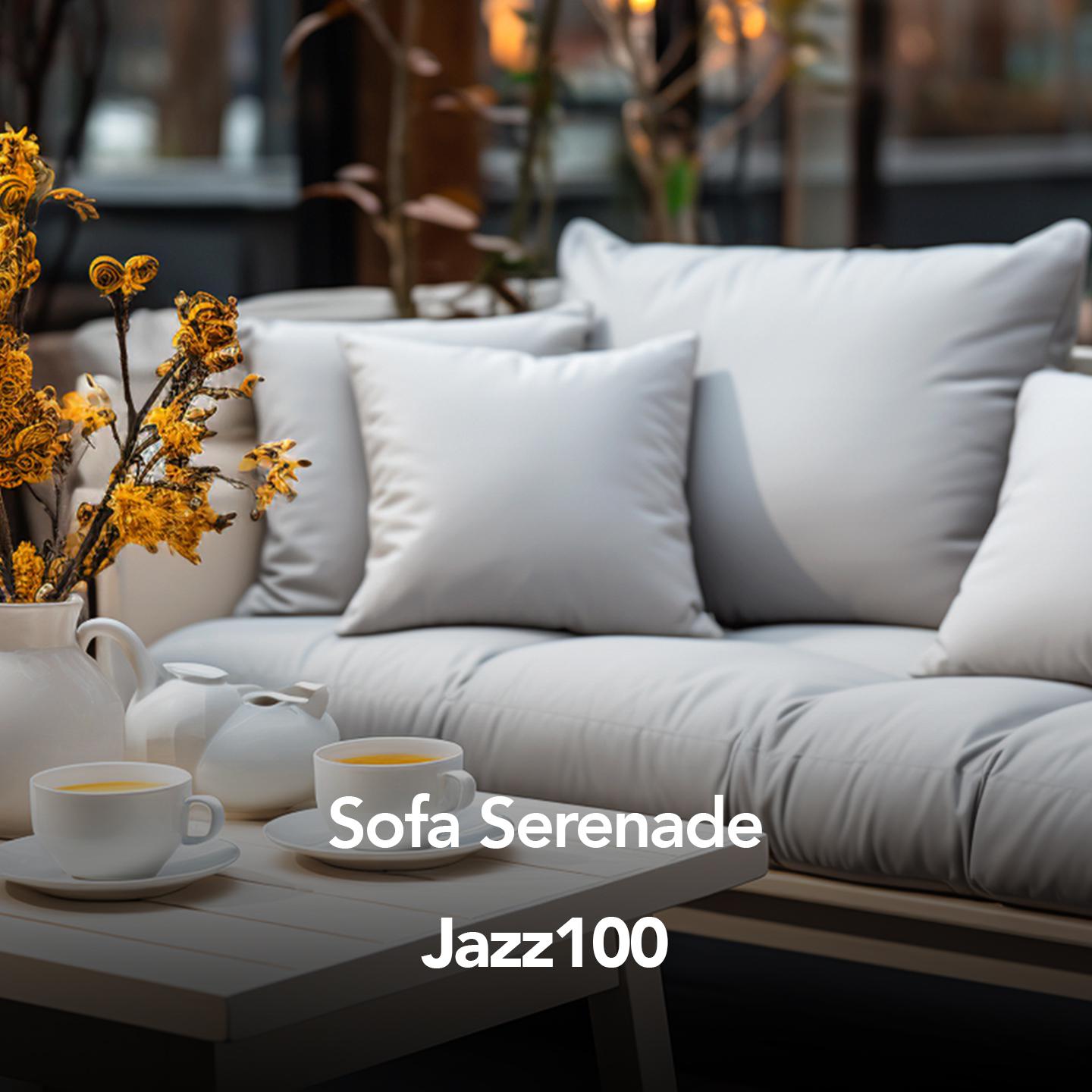 Постер альбома Sofa Serenade