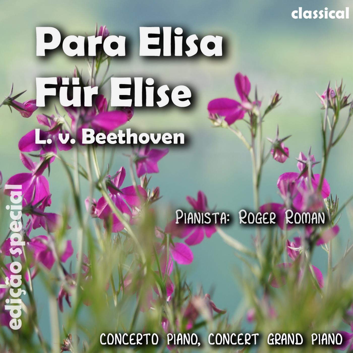 Ludwig Van Beethoven - Para Elisa (feat. Roger Roman)