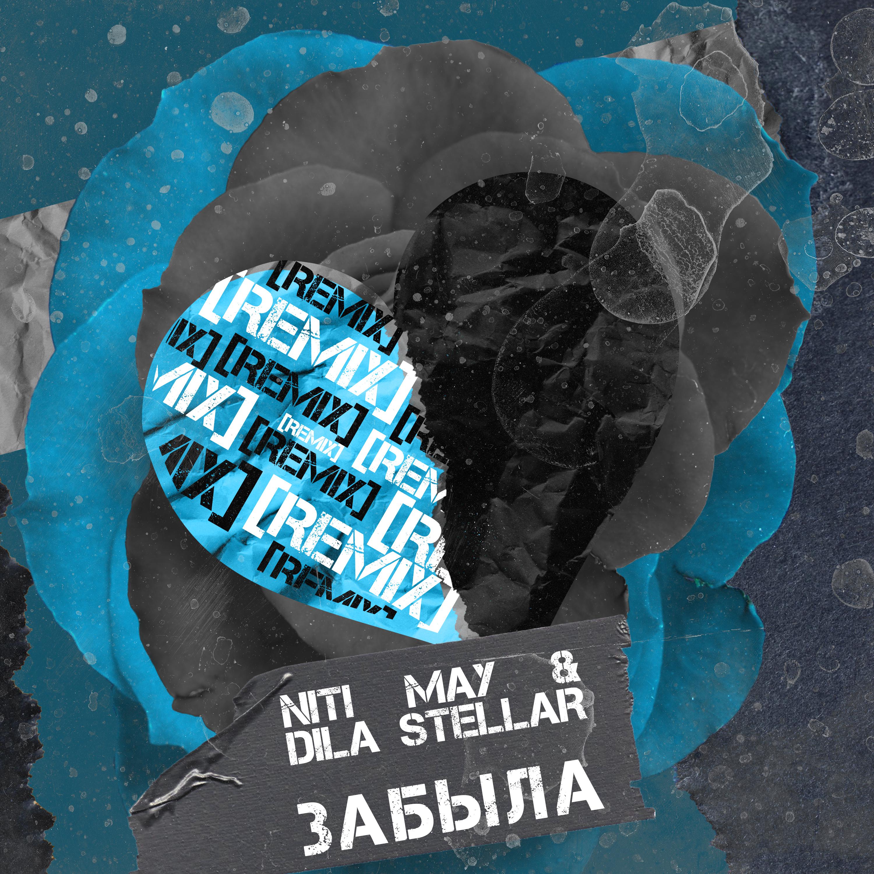 Постер альбома Забыла (Remix)