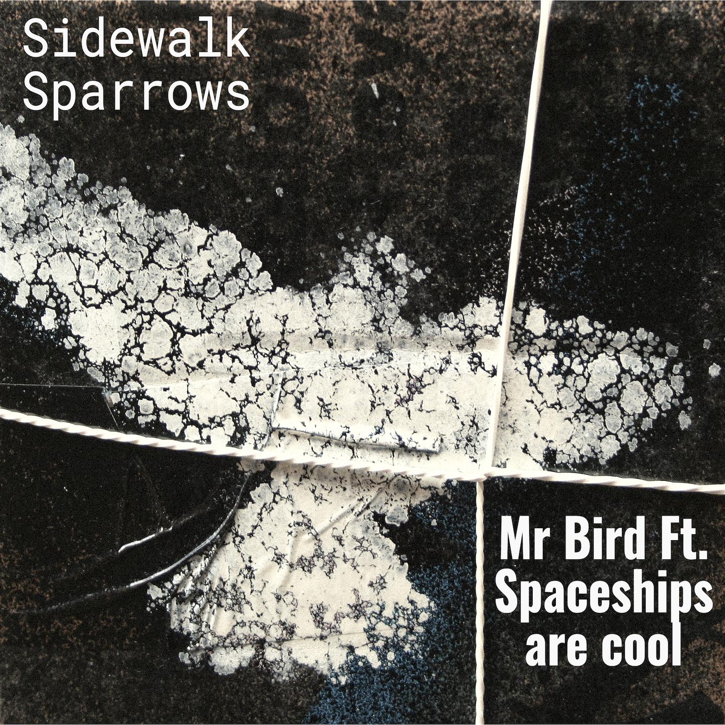 Постер альбома Sidewalk Sparrows