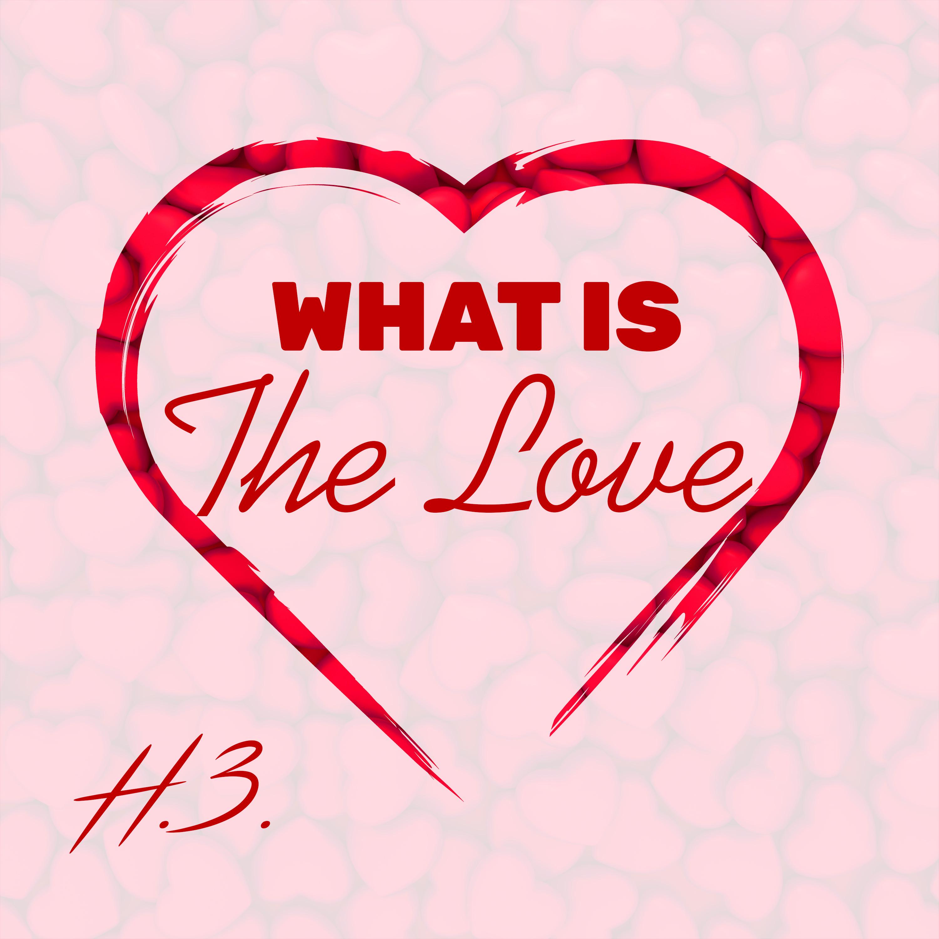 Постер альбома What is the Love