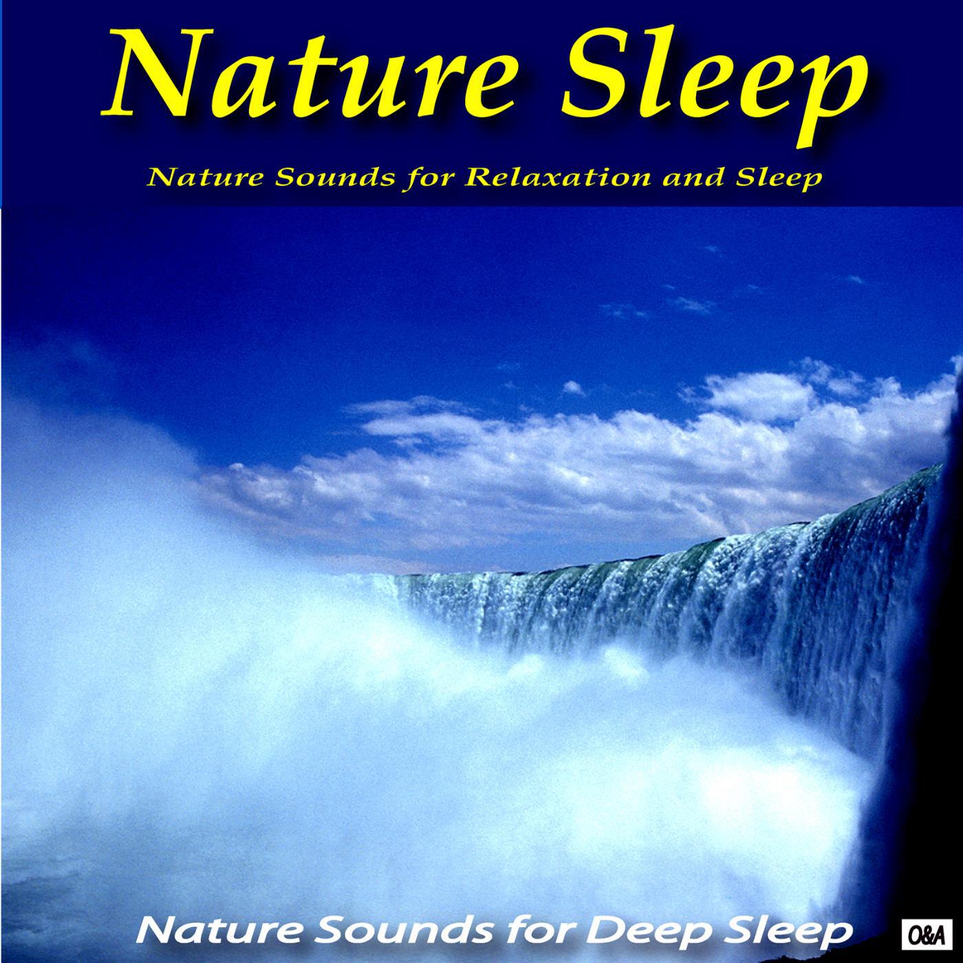 Nature Sounds for Relaxation and Sleep - Nature Sounds Nature Music 2