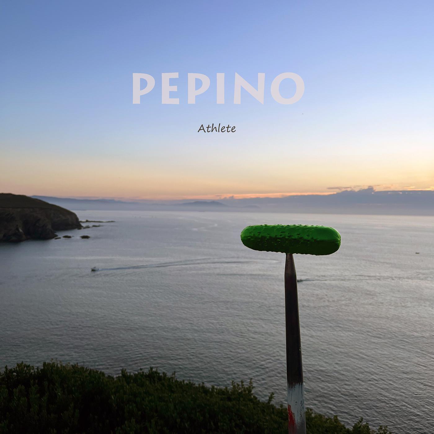 Постер альбома Pepino