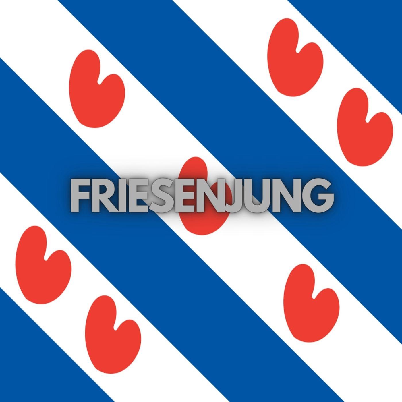 Постер альбома Friesenjung