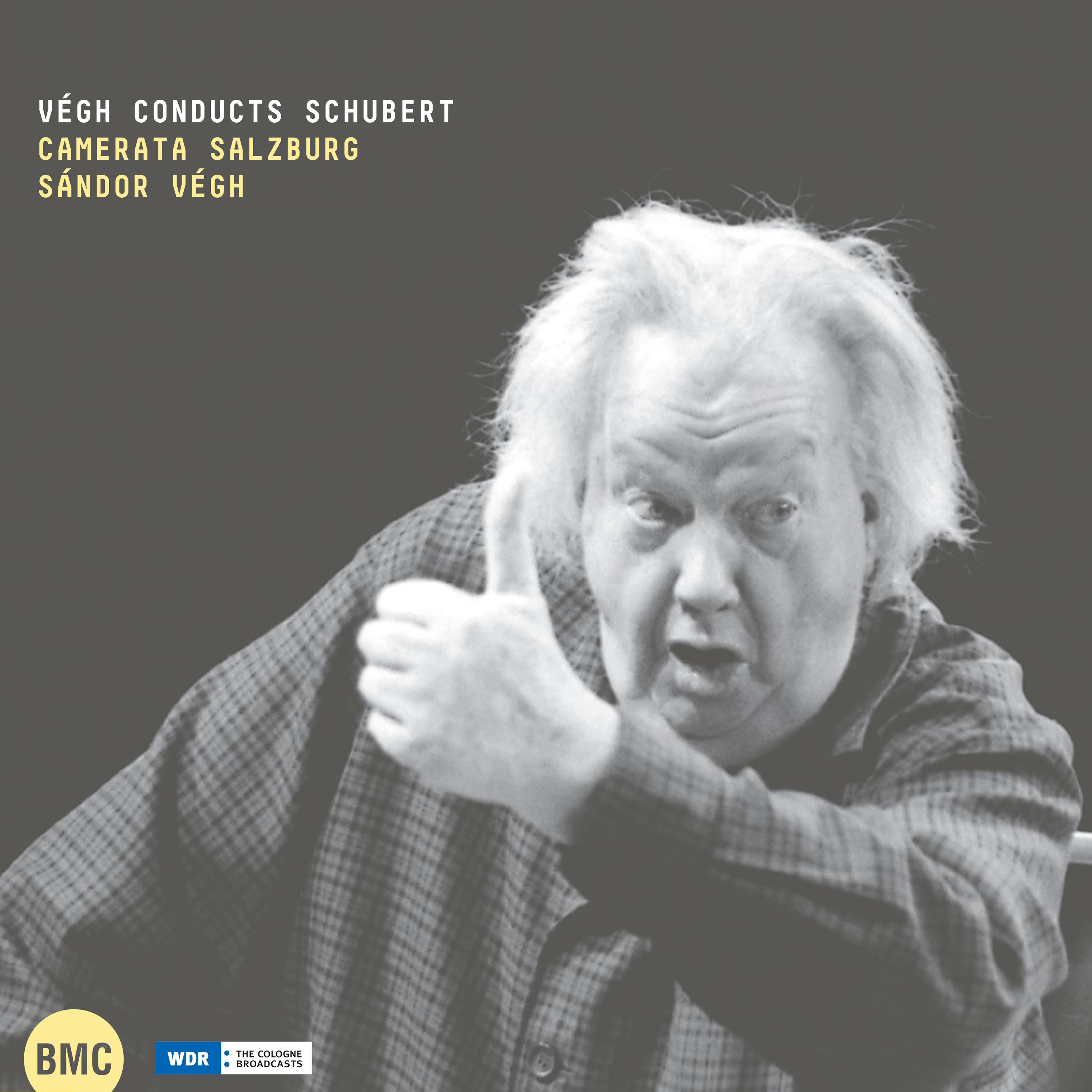 Постер альбома Végh Conducts Schubert