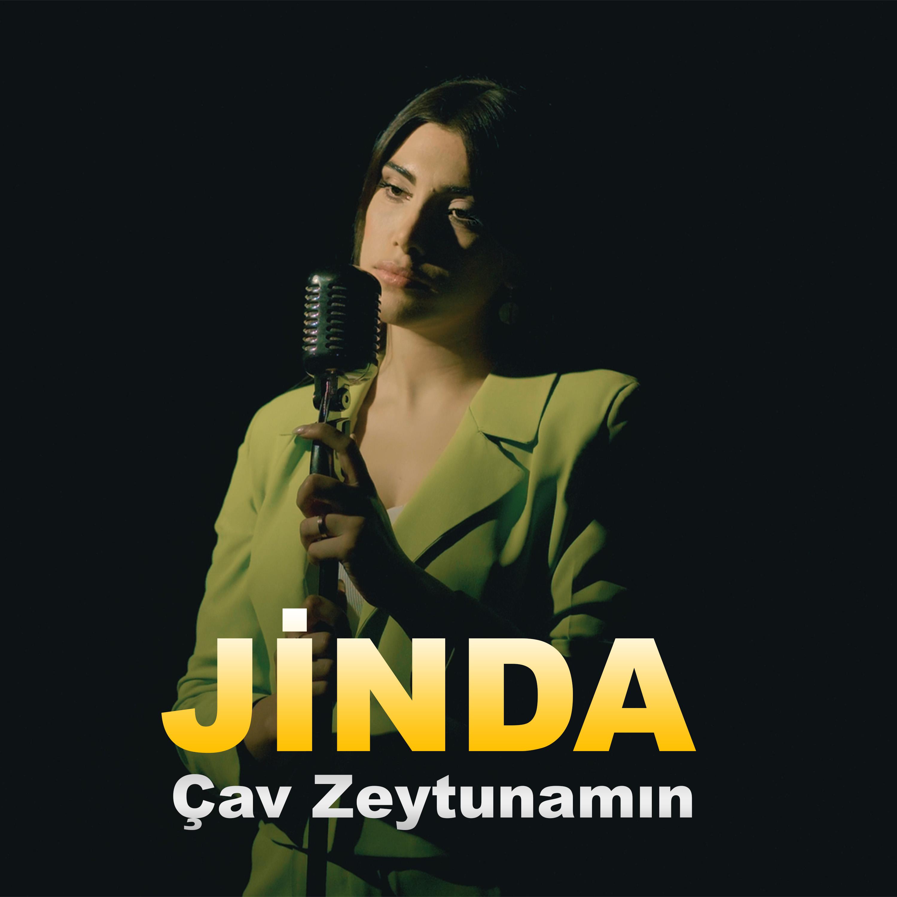 Постер альбома Çav Zeytunamın