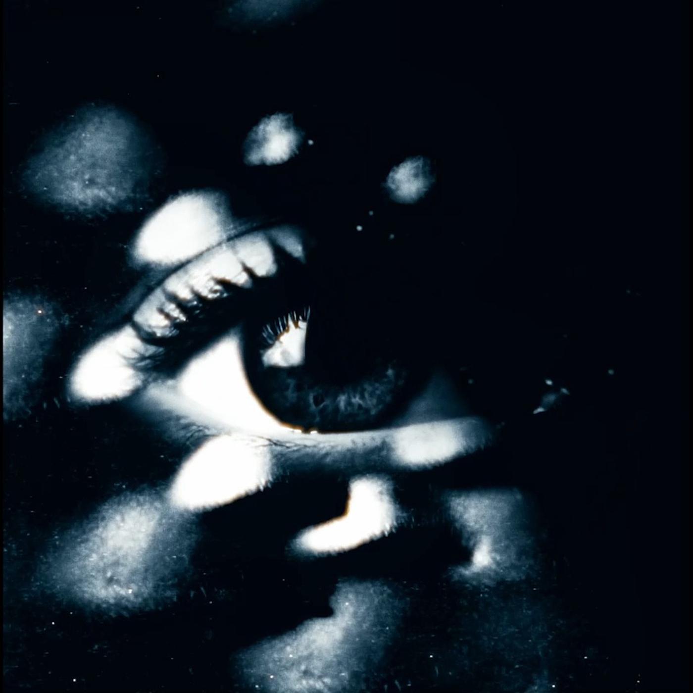 Постер альбома Illusion of Dark