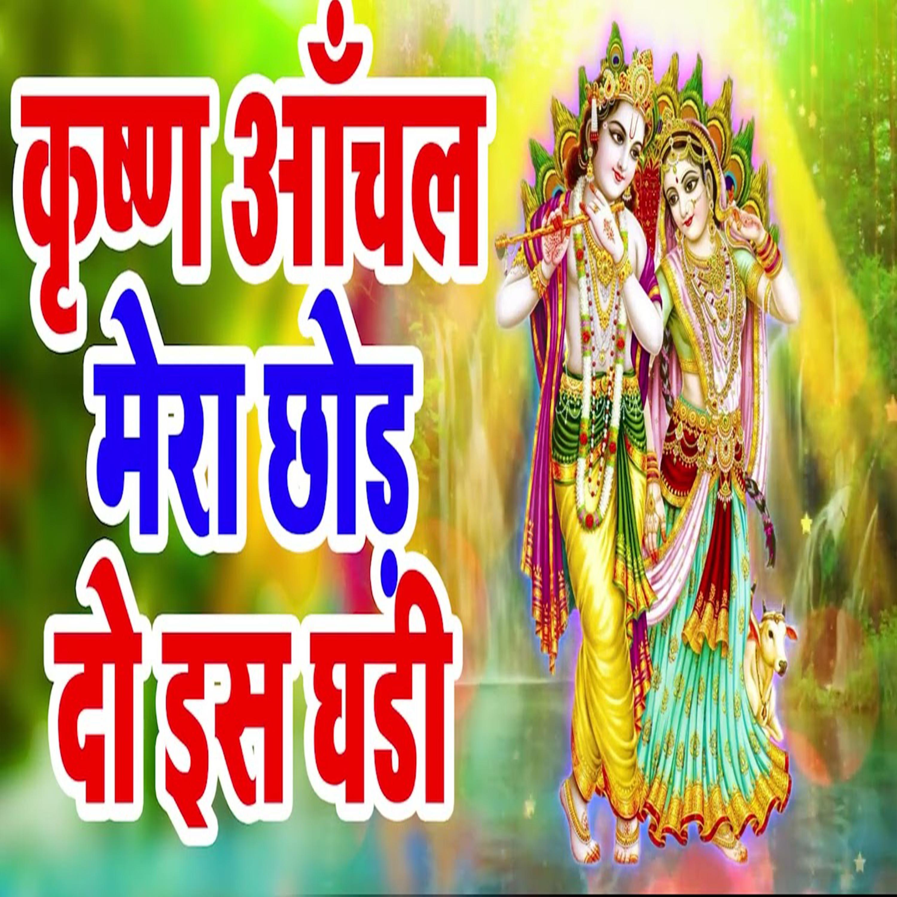 Постер альбома Krishna Anchal Mera Chhod Do Es Ghadi