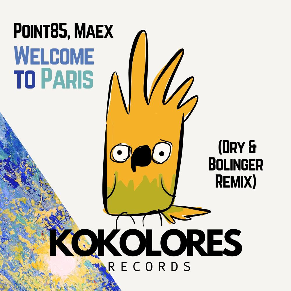 Постер альбома Welcome To Paris (Dry & Bolinger Remix)