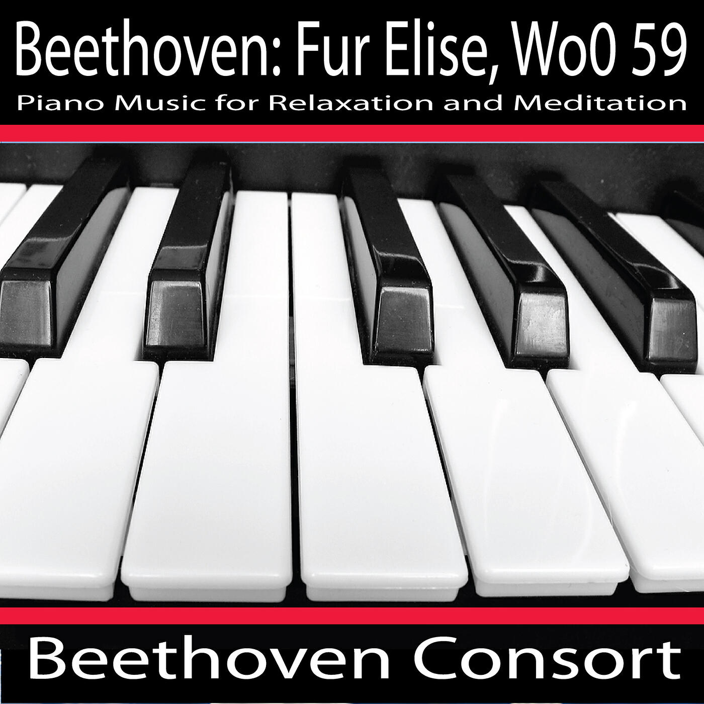 Beethoven Consort - Classical Music
