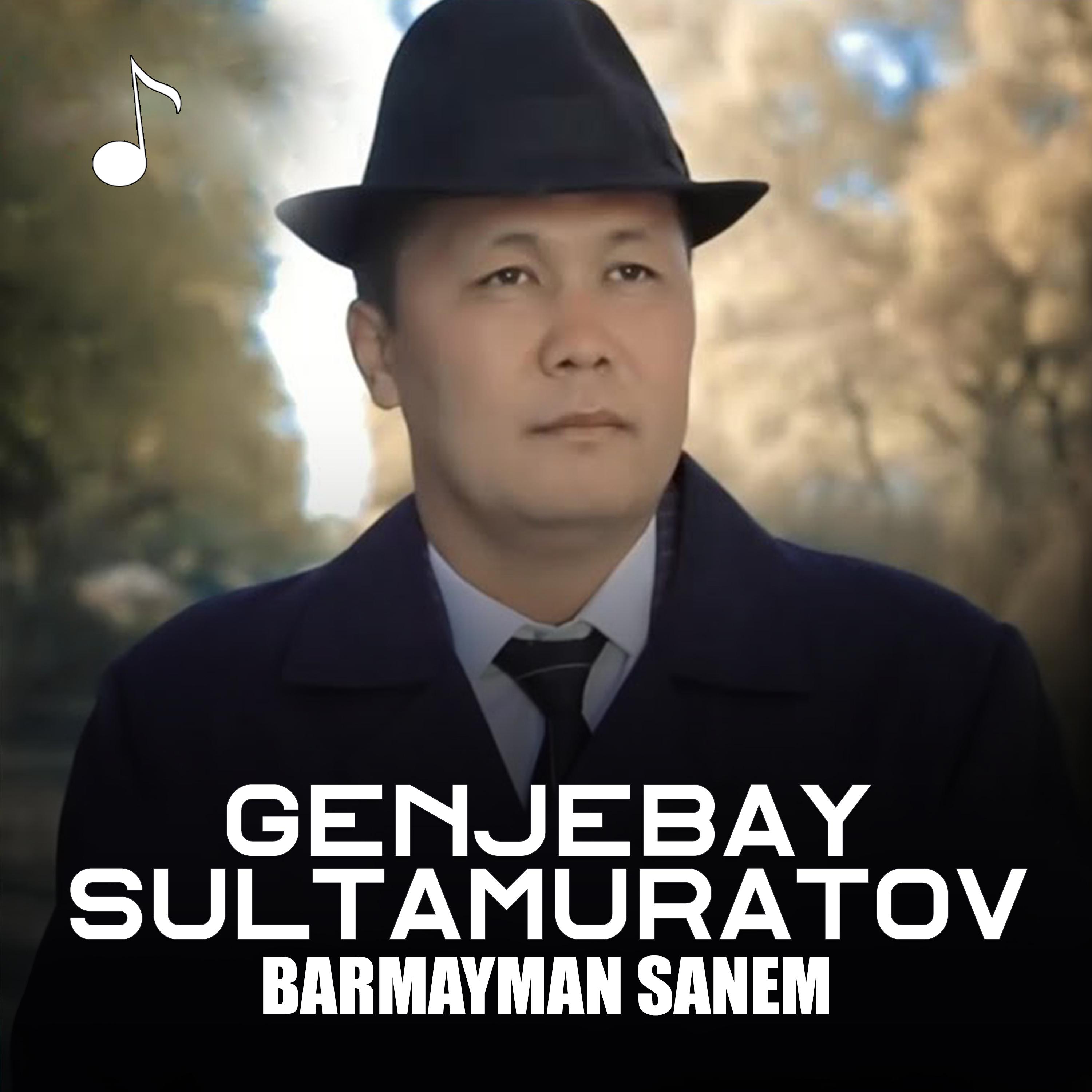 Постер альбома Barmayman Sanem
