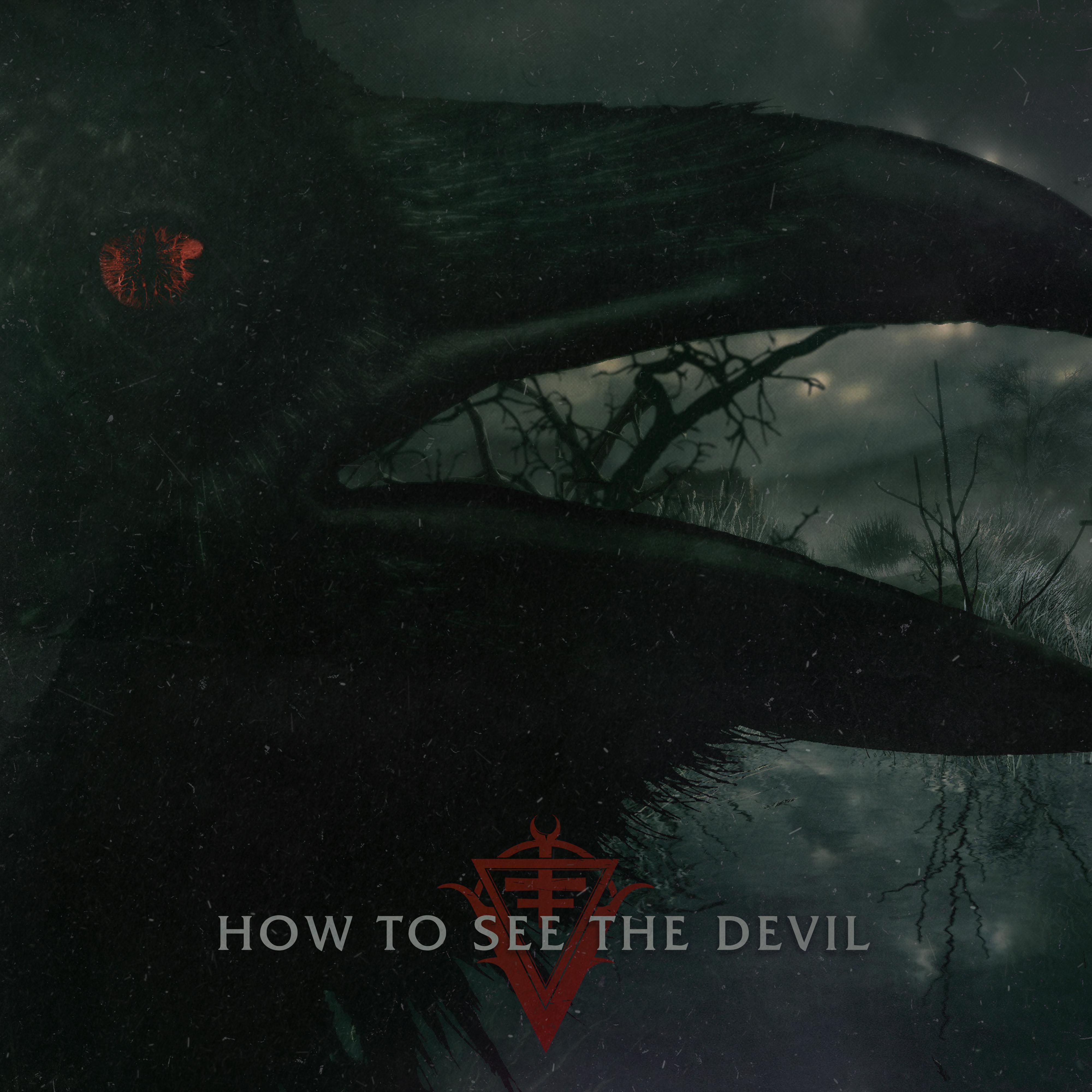 Постер альбома How to See the Devil