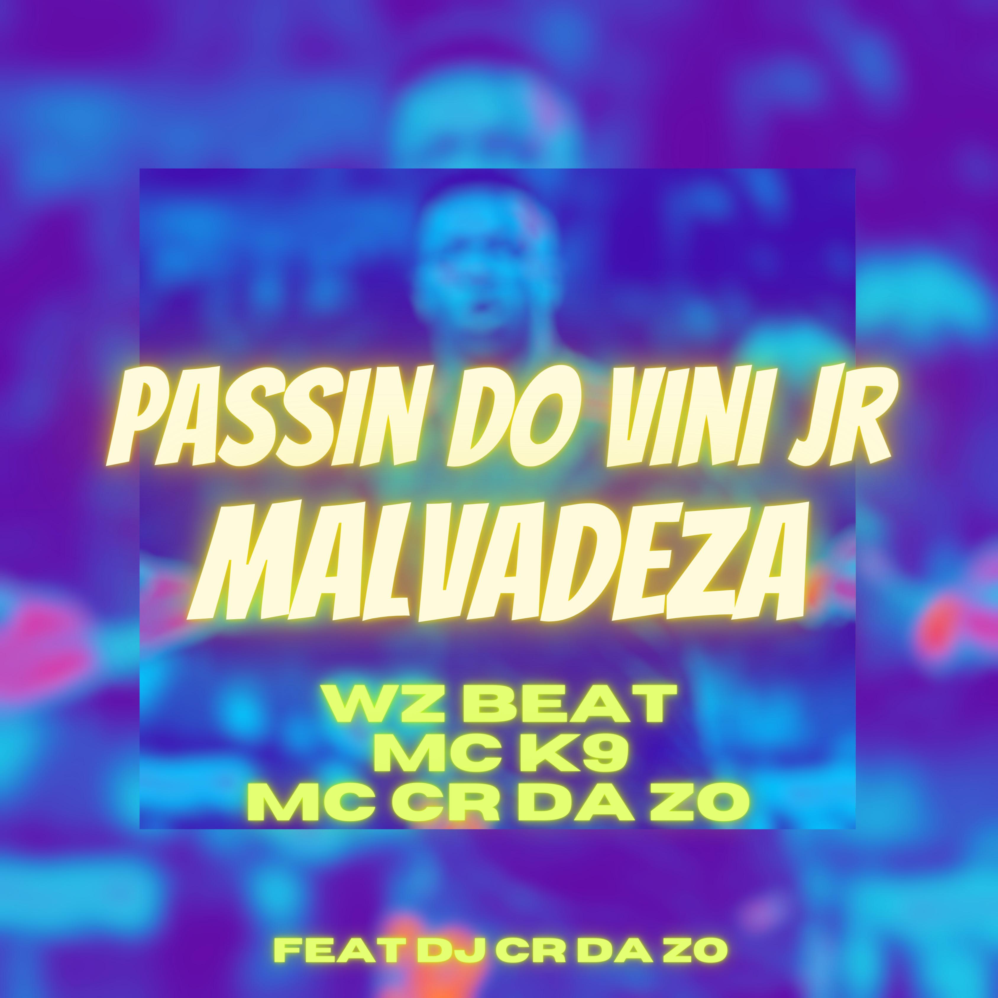 Постер альбома Passin do Vini Jr Malvadeza