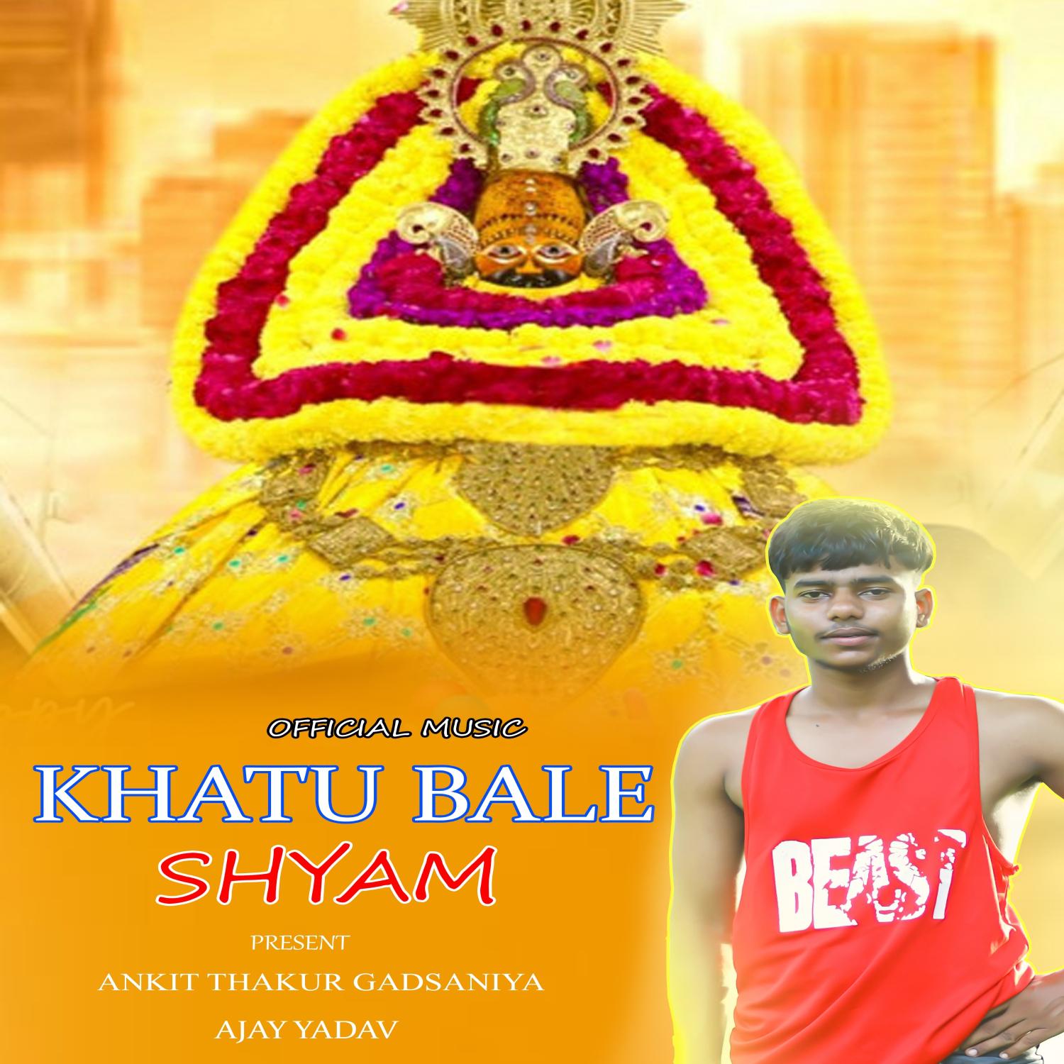 Постер альбома Khatu Bale Shyam