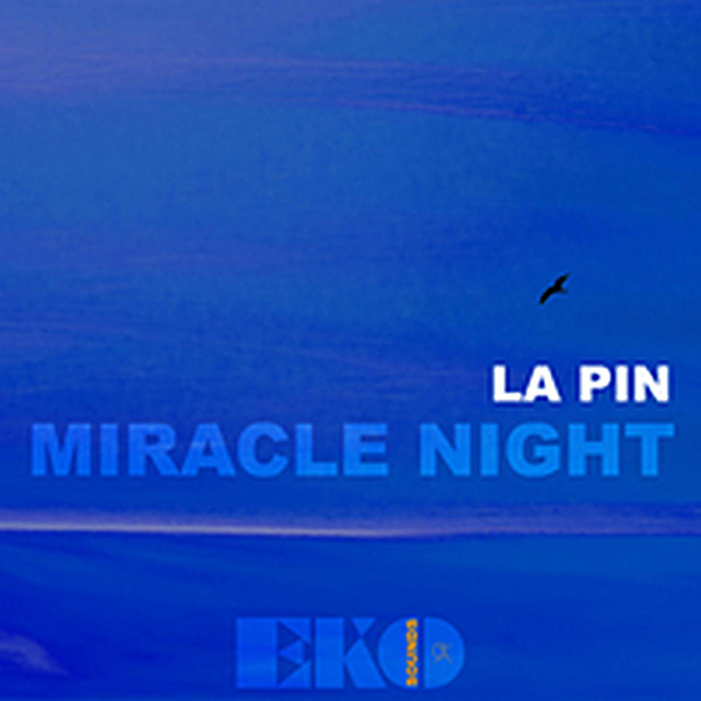 Постер альбома Miracle Night
