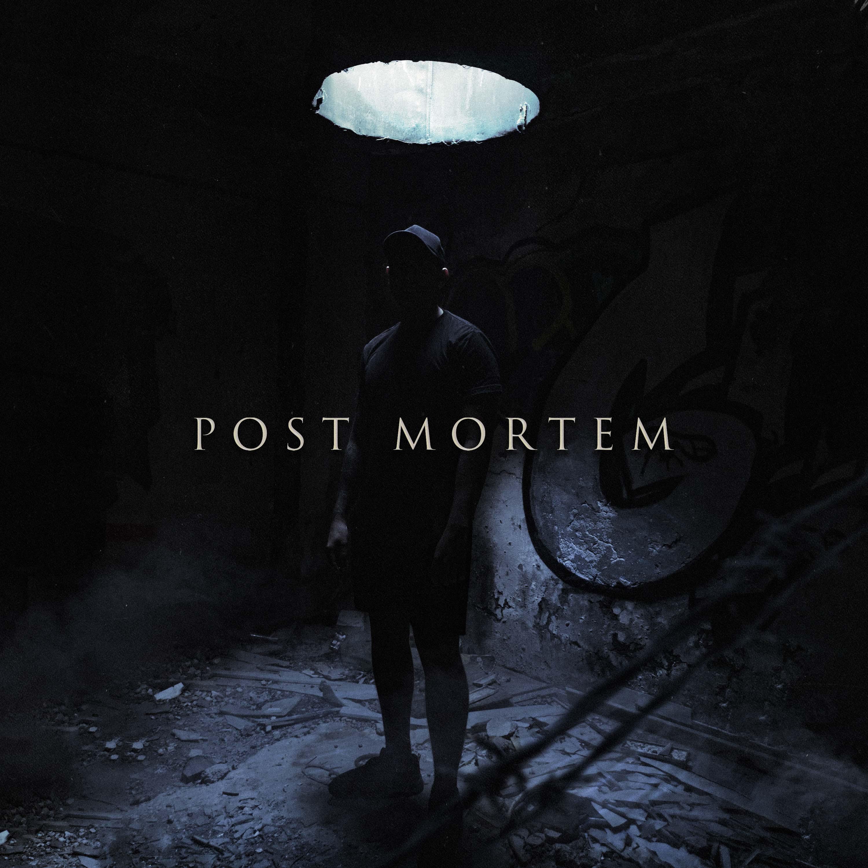 Постер альбома Post Mortem