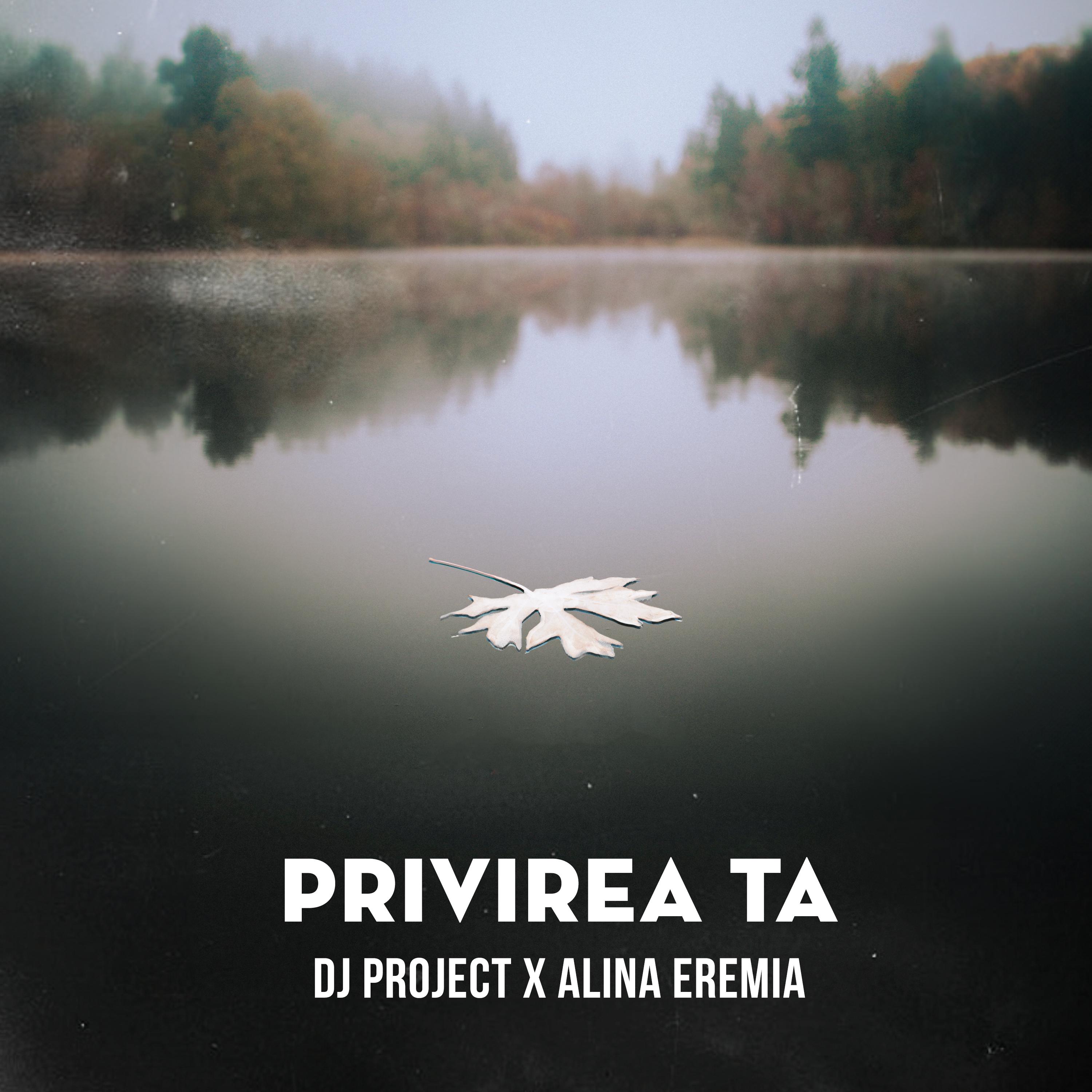 Постер альбома Privirea ta