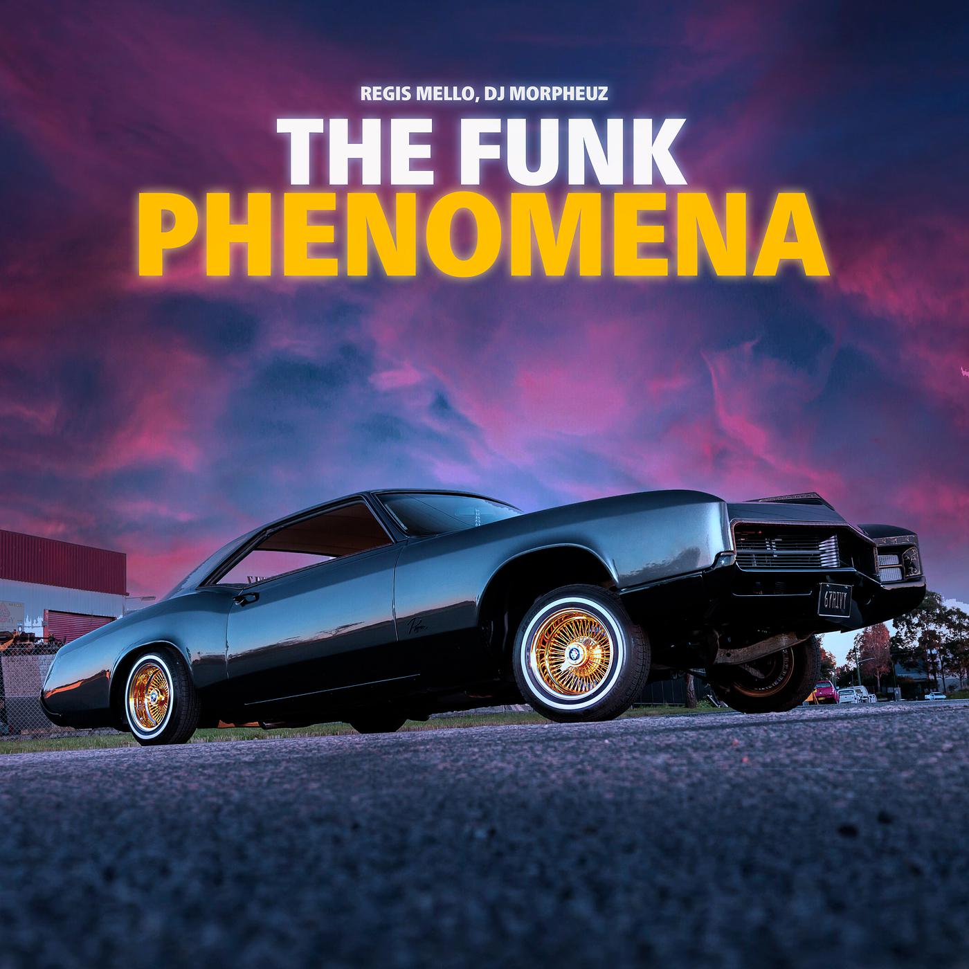 Постер альбома The Funk Phenomena