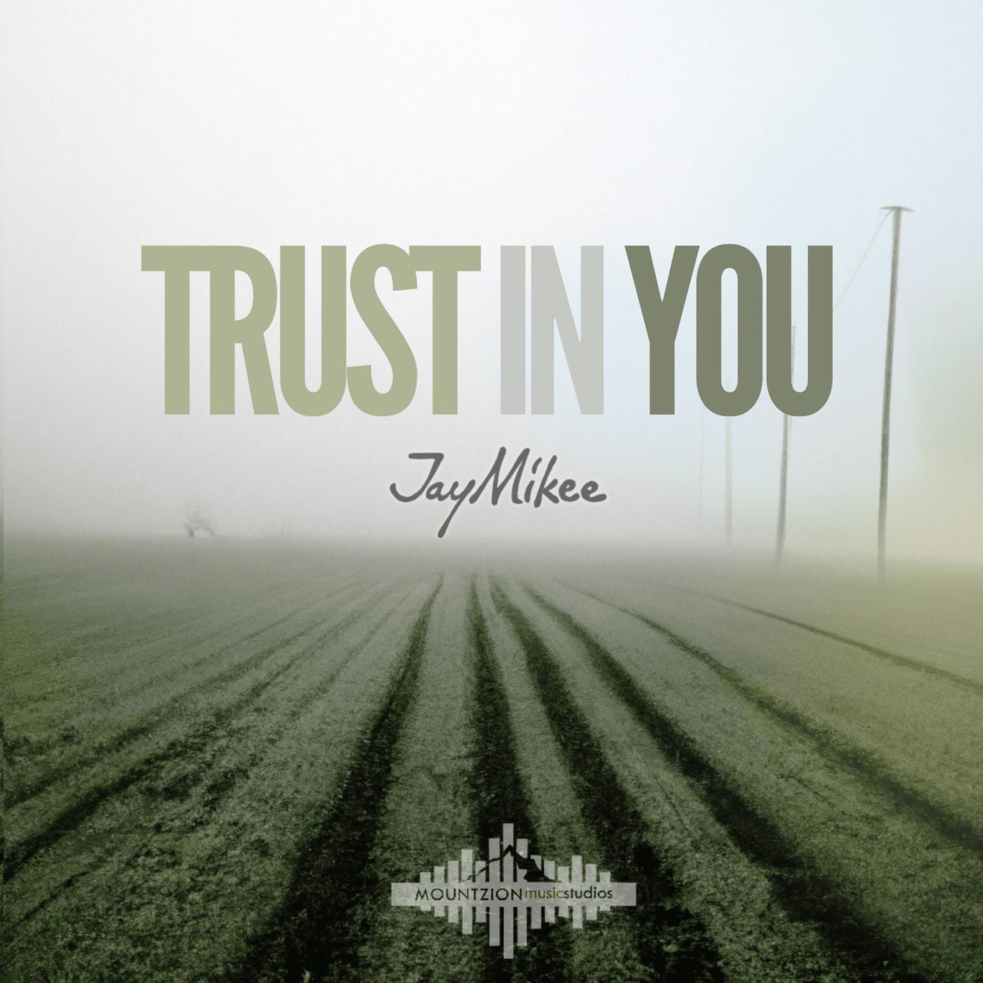 Постер альбома Trust in You