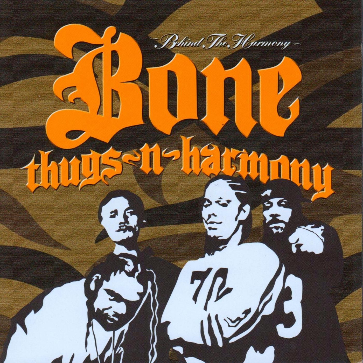 Постер альбома Behind the Harmony (Thug Edition)