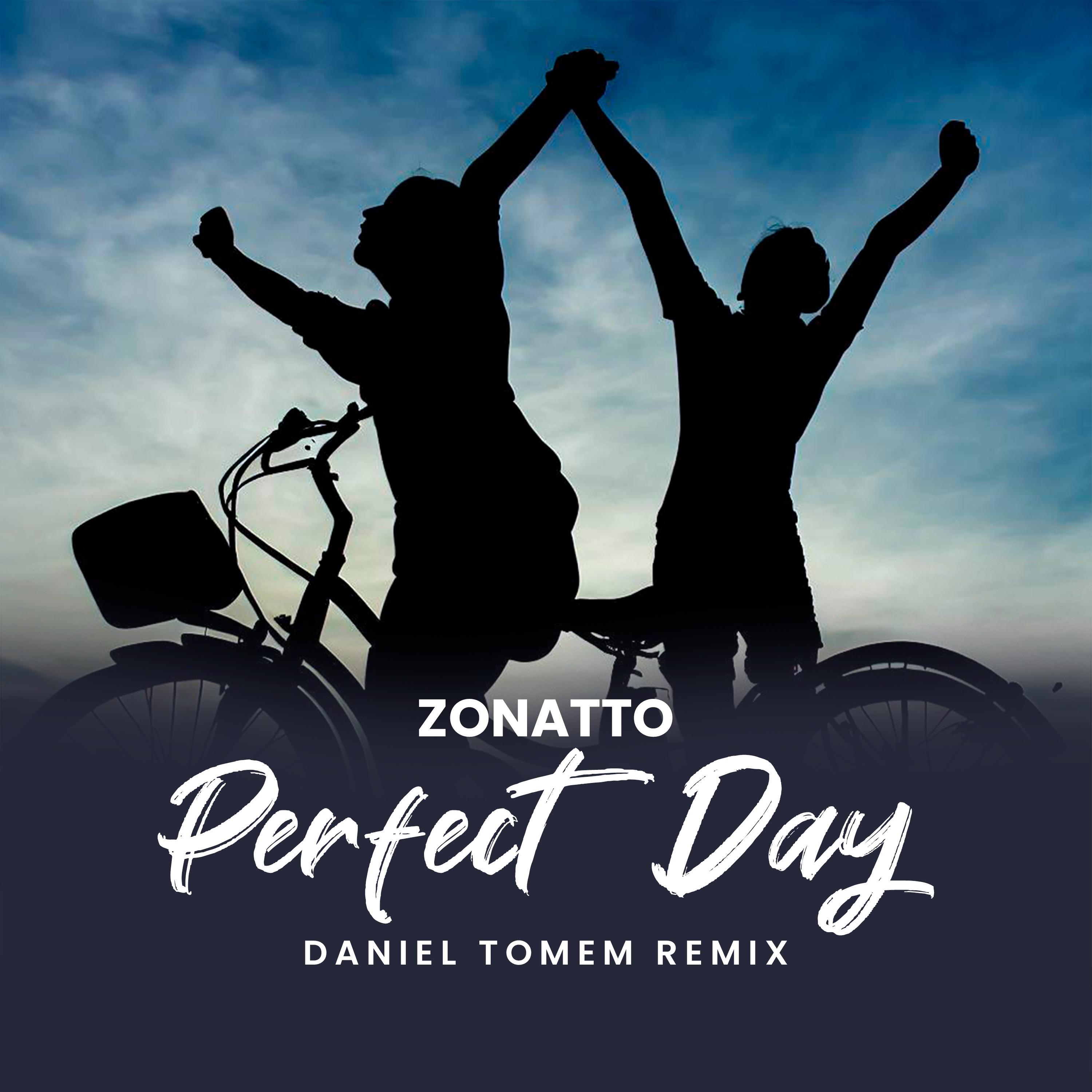 Постер альбома Perfect Day (Daniel Tomen Remix)