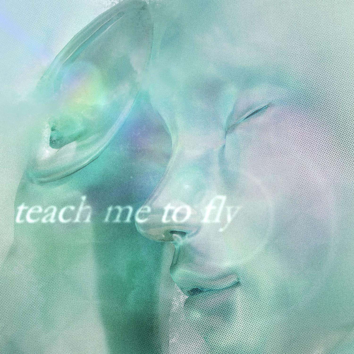 Постер альбома teach me to fly