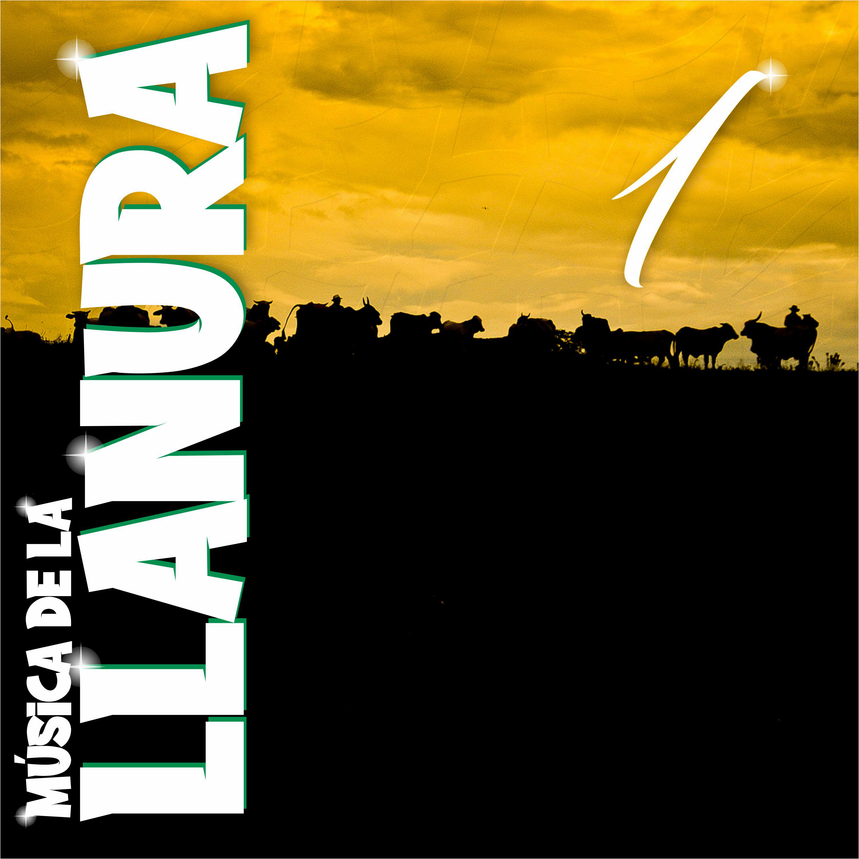 Постер альбома Música de la Llanura 1
