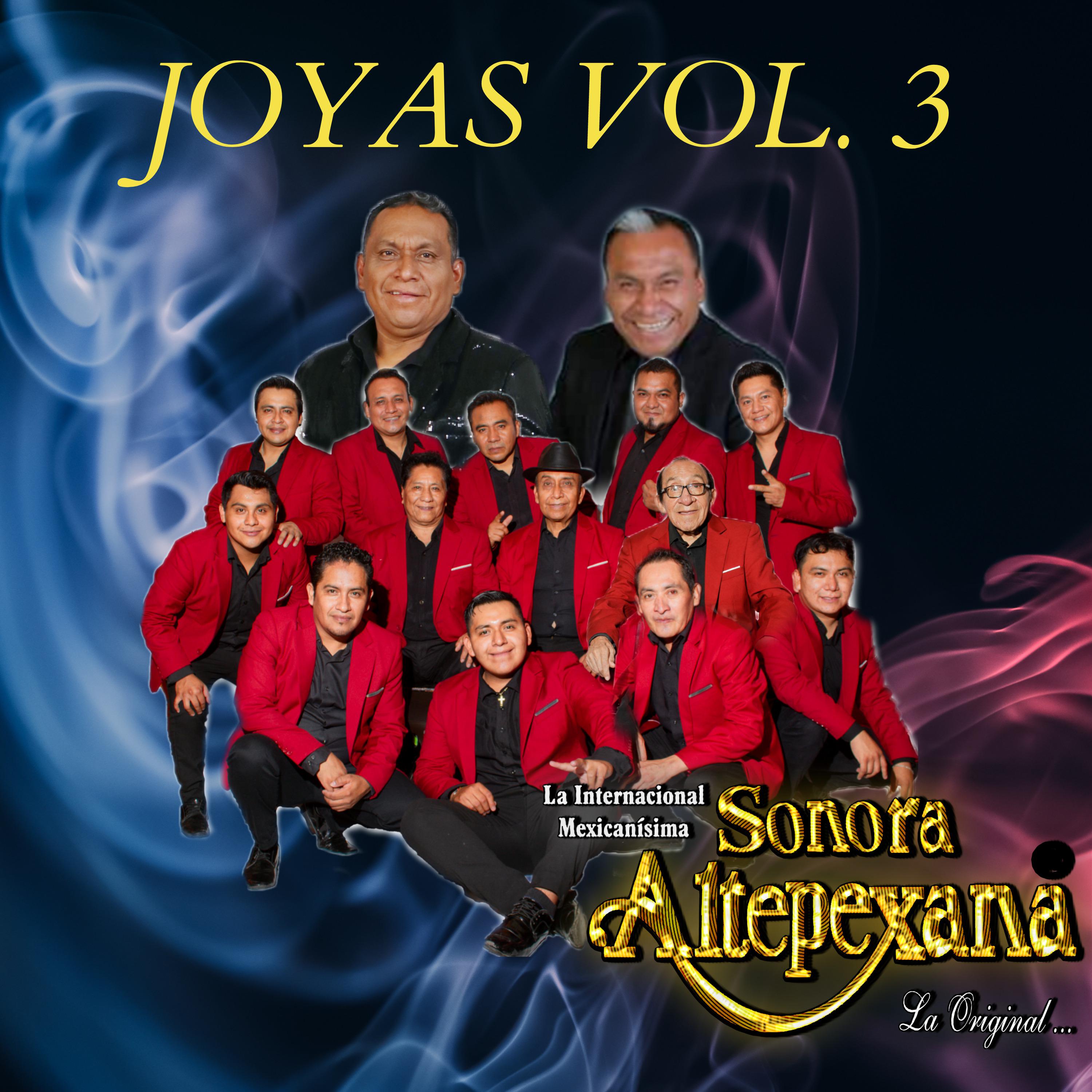Постер альбома Joyas, Vol. 3