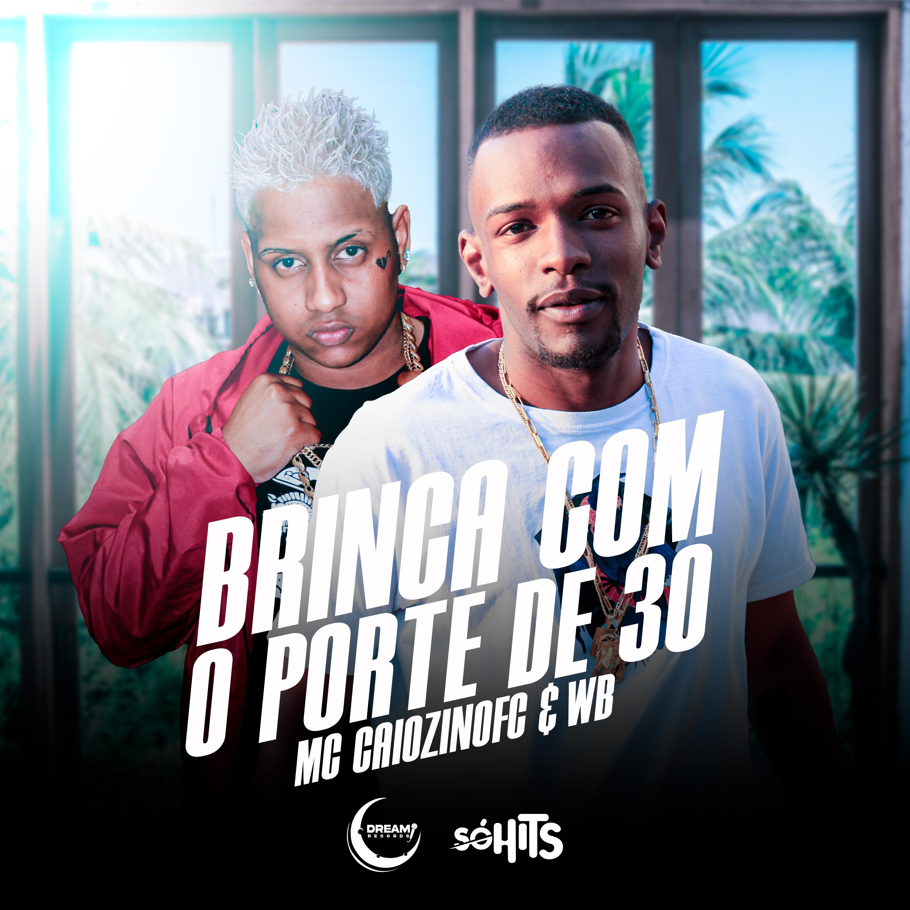 Постер альбома Brinca Com o Porte de 30