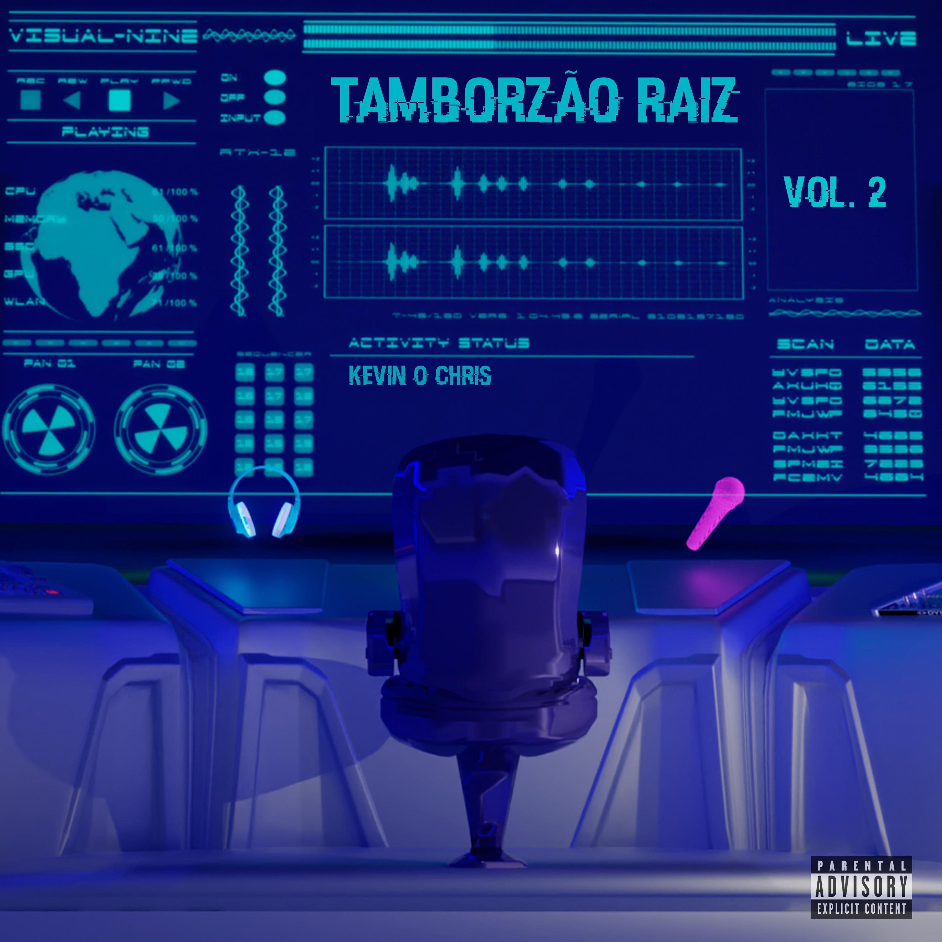 Постер альбома Tamborzão Raiz: Vol 2