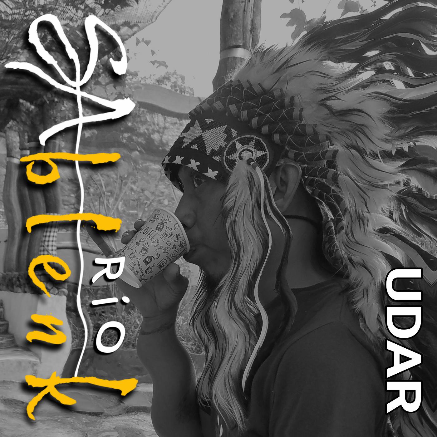 Постер альбома Udar