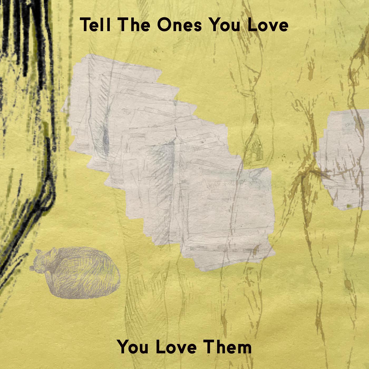 Постер альбома Tell the Ones You Love You Love Them
