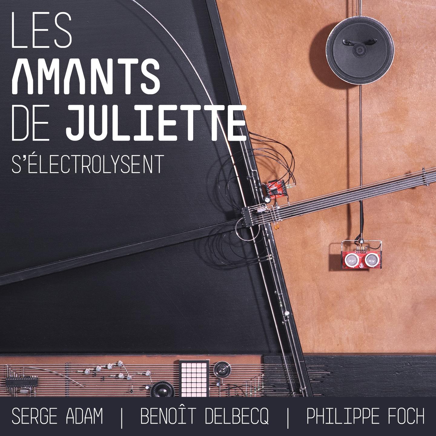 Постер альбома Les amants de Juliette s'électrolysent