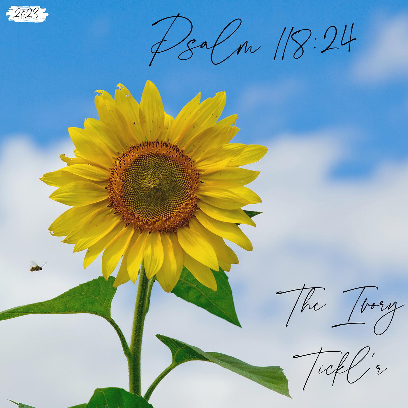 Постер альбома Psalm 118:24