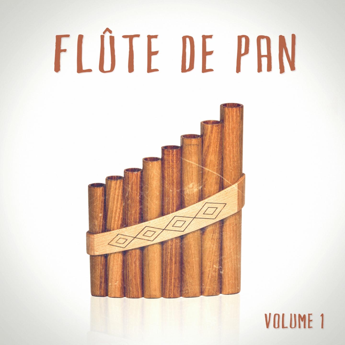 Постер альбома Flûte de pan