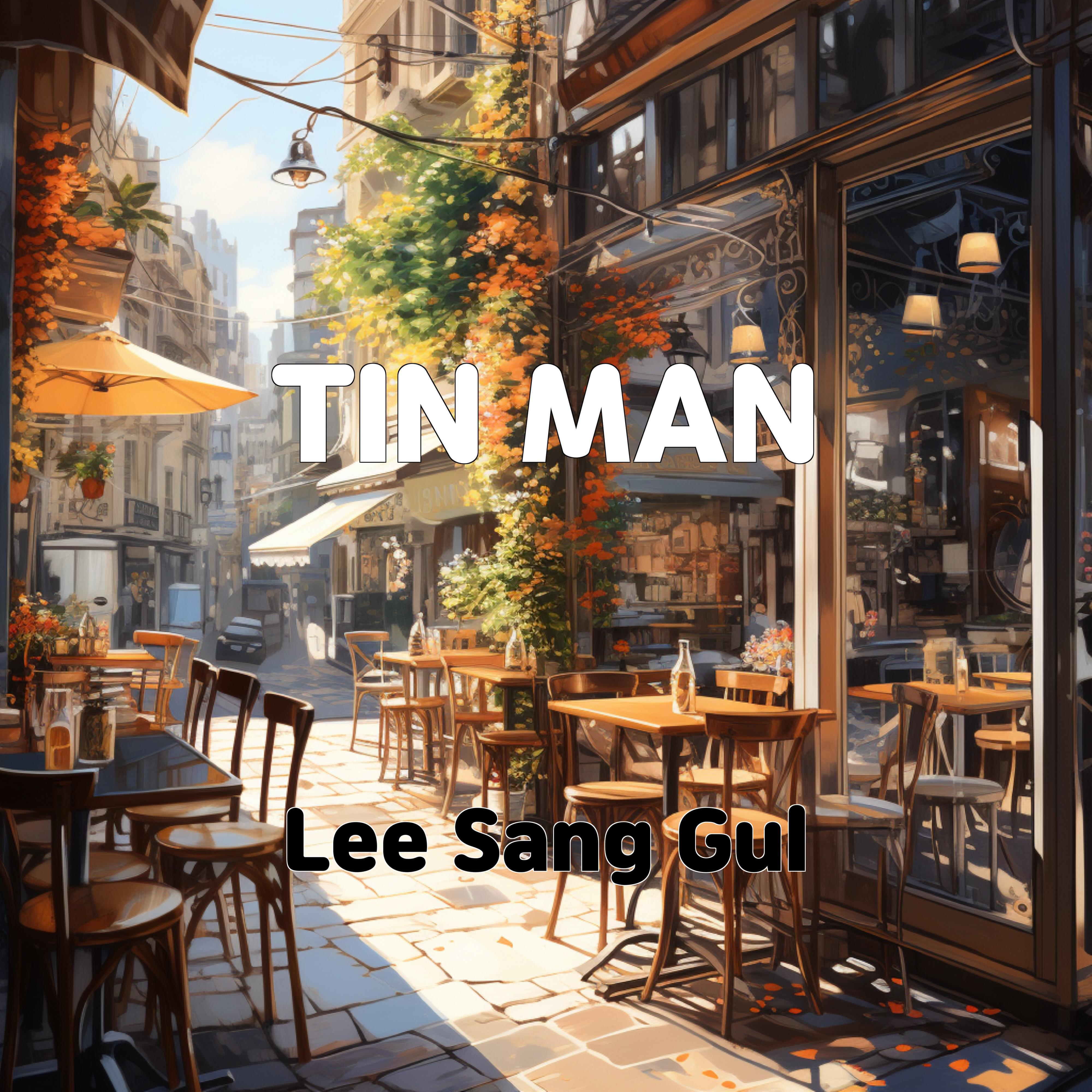 Постер альбома TIN MAN