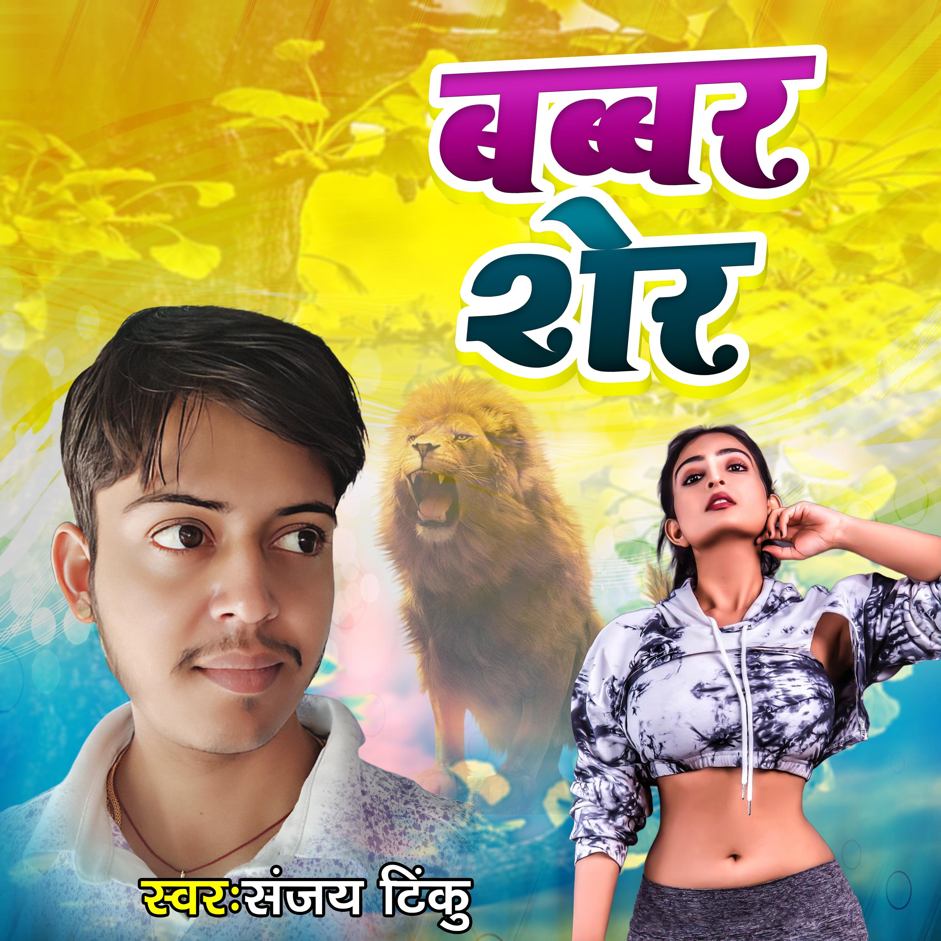 Постер альбома Babbar Sher