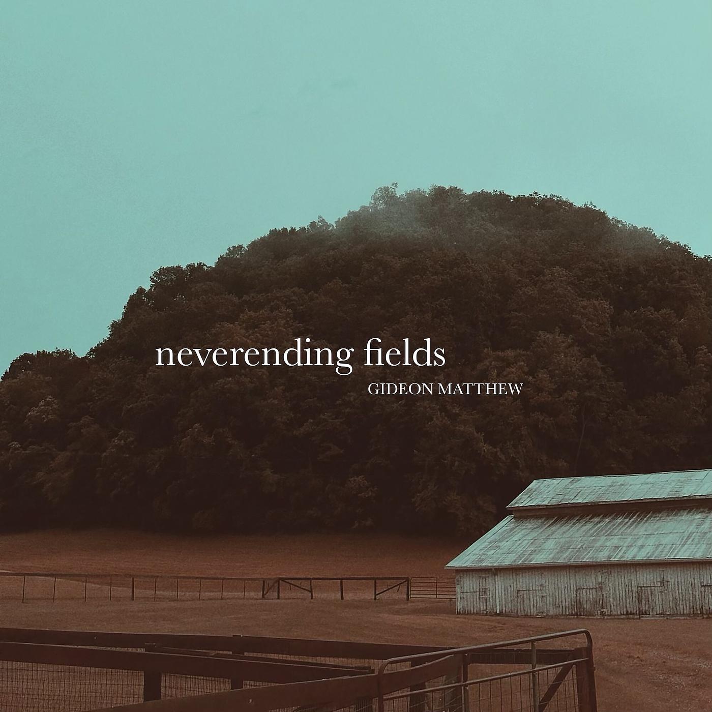 Постер альбома Neverending Fields