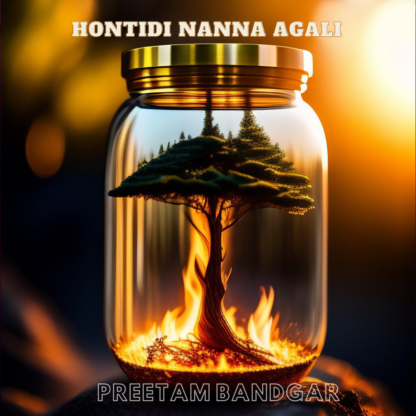 Постер альбома Hontidi Nanna Agali
